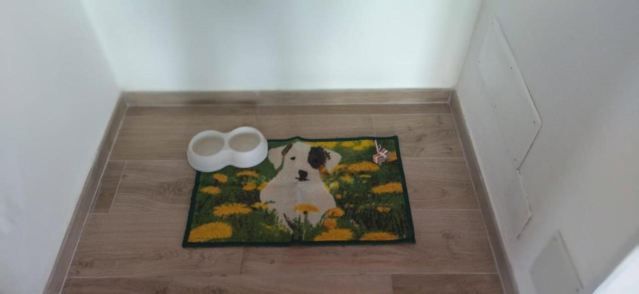 Zagarolo Appartamento Colle Farina מראה חיצוני תמונה